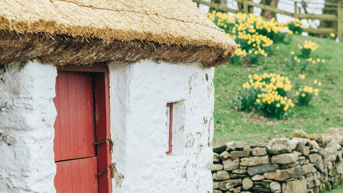 a thatched cottage in ulster American folk park with a red door
