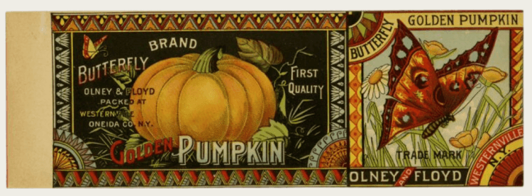 Pumpkin Can Label